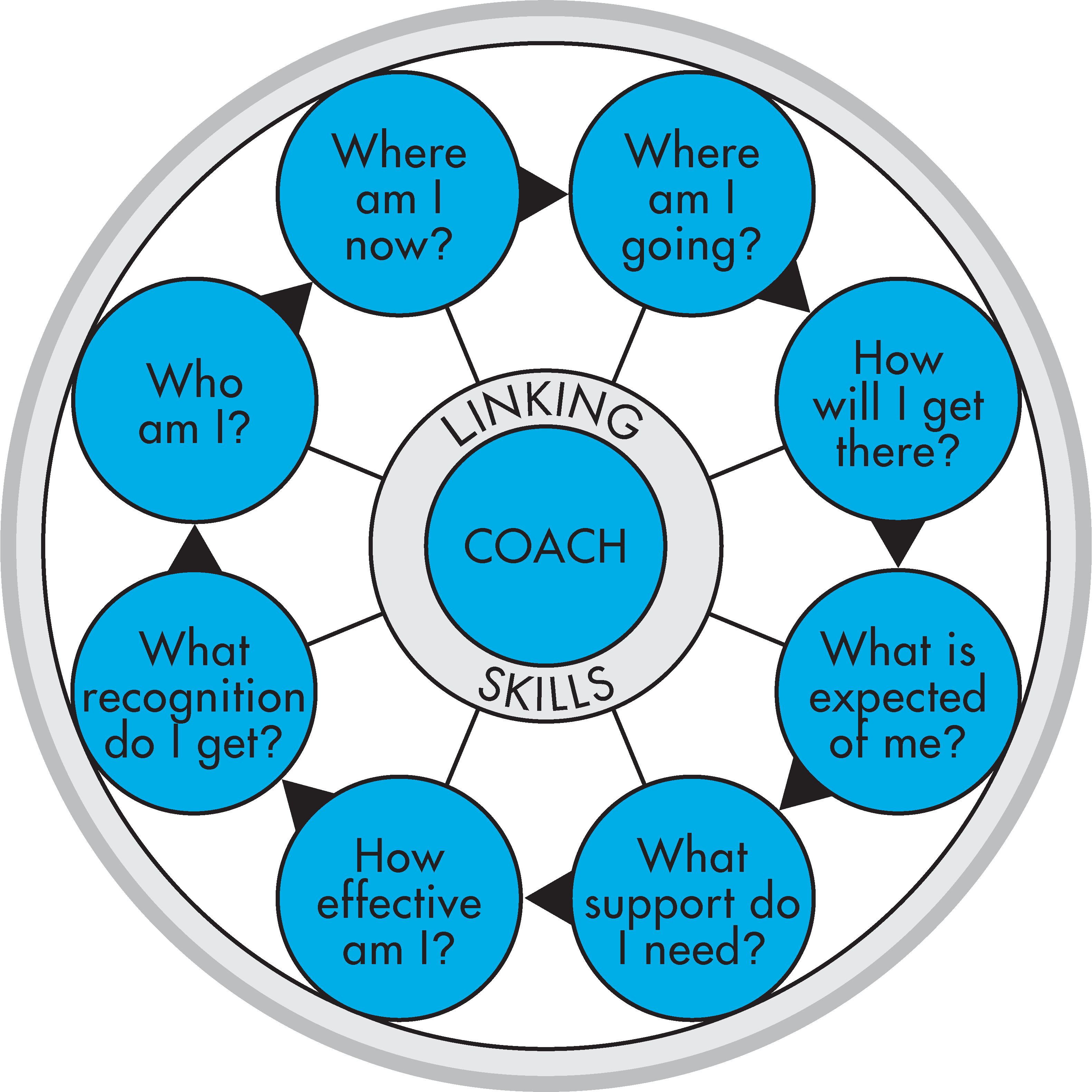 TMS Coaching Framework Eight-sector TMS Coaching Framework visual